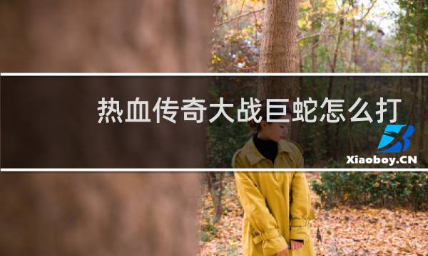 热血传奇大战巨蛇怎么打