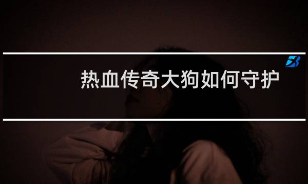 热血传奇大狗如何守护