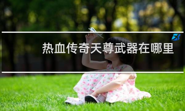 热血传奇天尊武器在哪里