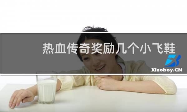 热血传奇奖励几个小飞鞋