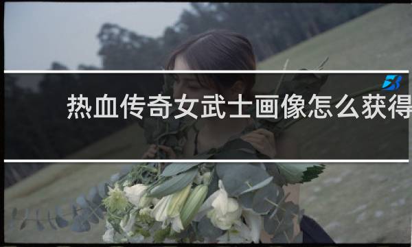 热血传奇女武士画像怎么获得