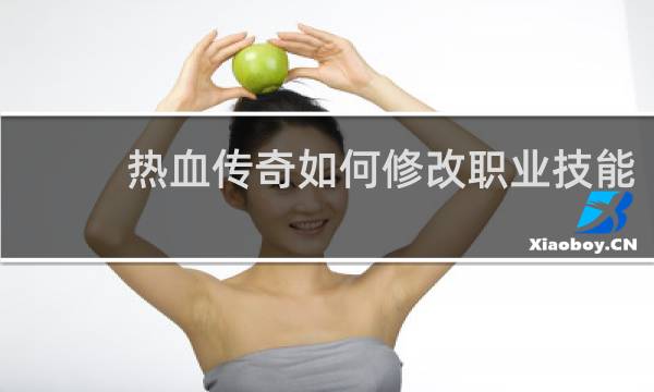 热血传奇如何修改职业技能