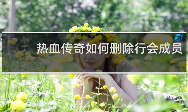 热血传奇如何删除行会成员