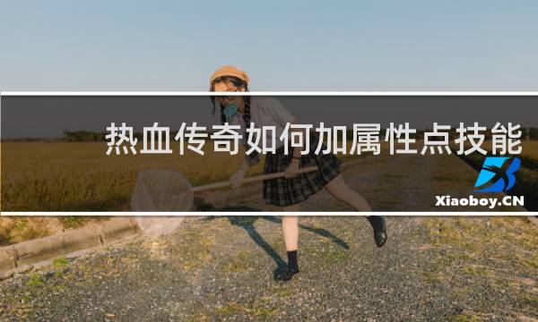 热血传奇如何加属性点技能