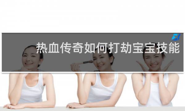 热血传奇如何打劫宝宝技能