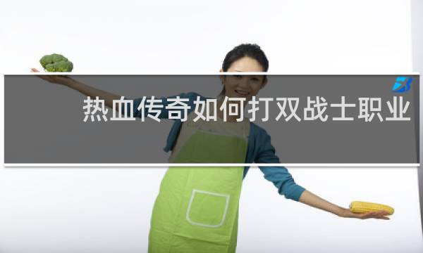 热血传奇如何打双战士职业