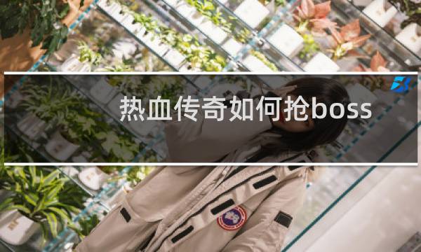 热血传奇如何抢boss