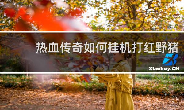 热血传奇如何挂机打红野猪