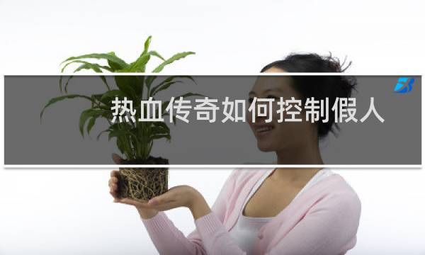 热血传奇如何控制假人