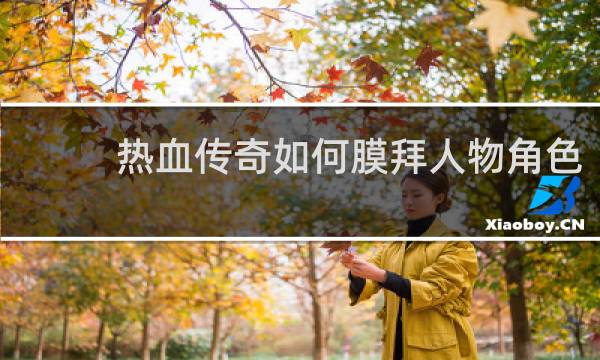 热血传奇如何膜拜人物角色