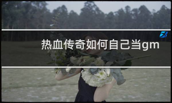 热血传奇如何自己当gm