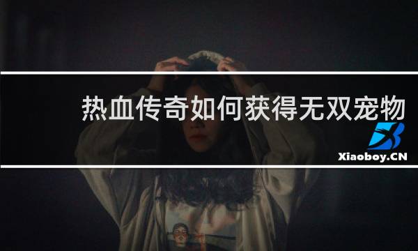 热血传奇如何获得无双宠物