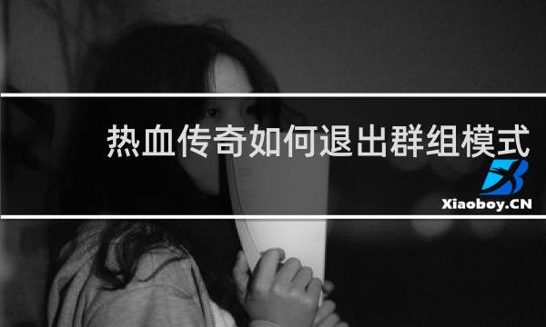 热血传奇如何退出群组模式