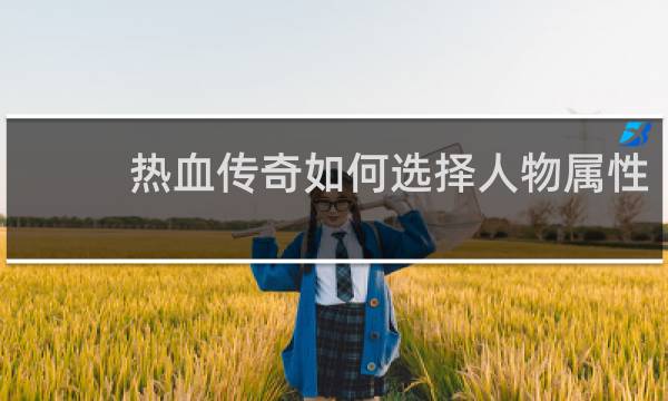 热血传奇如何选择人物属性