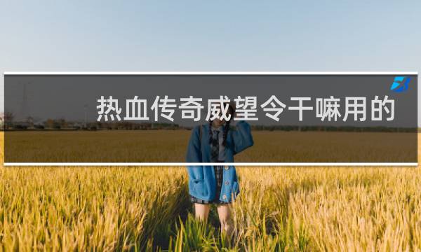 热血传奇威望令干嘛用的