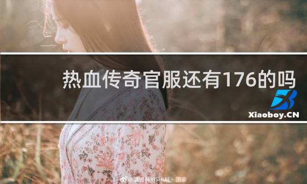 热血传奇官服还有176的吗