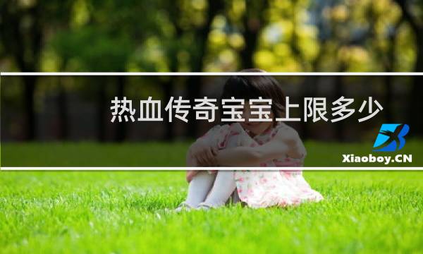热血传奇宝宝上限多少