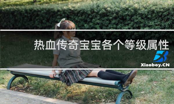 热血传奇宝宝各个等级属性