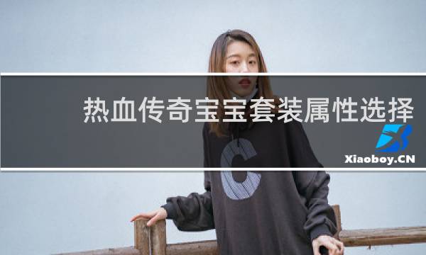 热血传奇宝宝套装属性选择