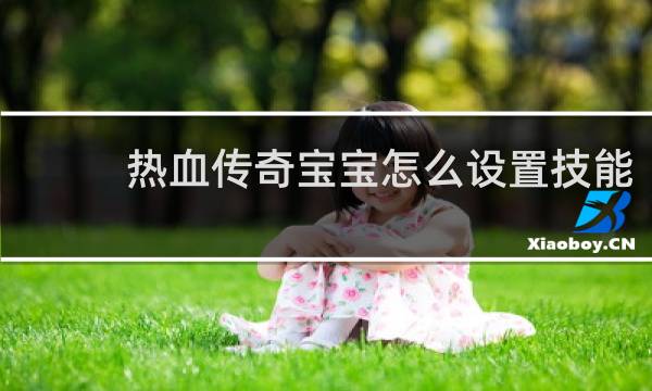 热血传奇宝宝怎么设置技能