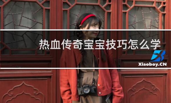 热血传奇宝宝技巧怎么学