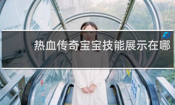 热血传奇宝宝技能展示在哪