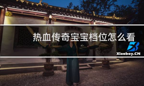 热血传奇宝宝档位怎么看