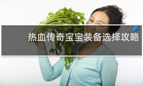 热血传奇宝宝装备选择攻略