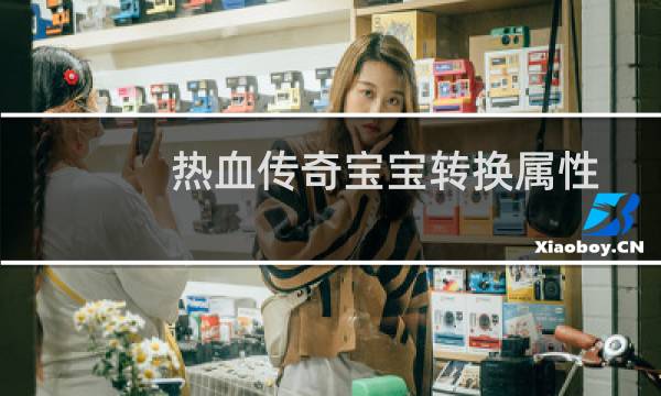 热血传奇宝宝转换属性