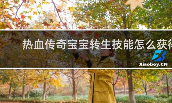热血传奇宝宝转生技能怎么获得