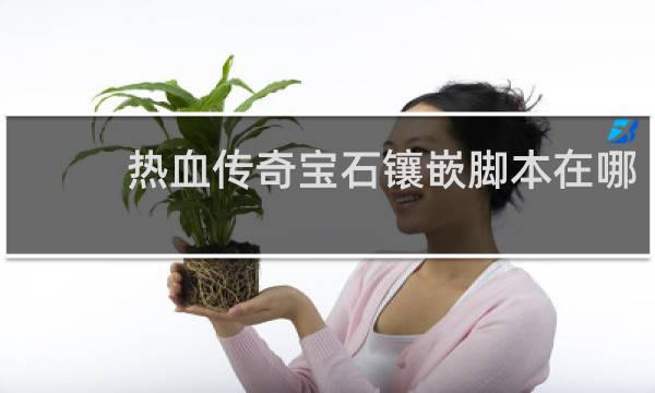 热血传奇宝石镶嵌脚本在哪