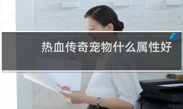 热血传奇宠物什么属性好