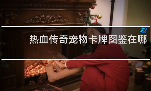 热血传奇宠物卡牌图鉴在哪