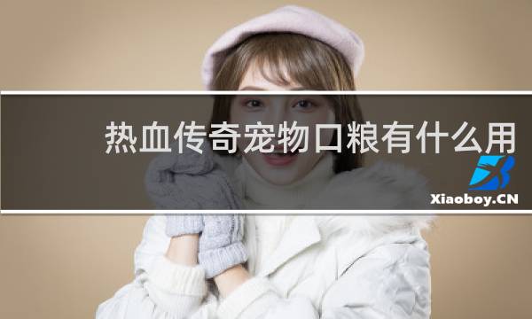 热血传奇宠物口粮有什么用