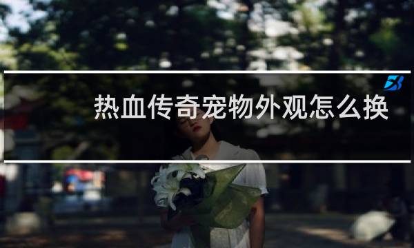 热血传奇宠物外观怎么换