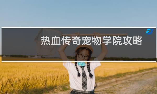 热血传奇宠物学院攻略