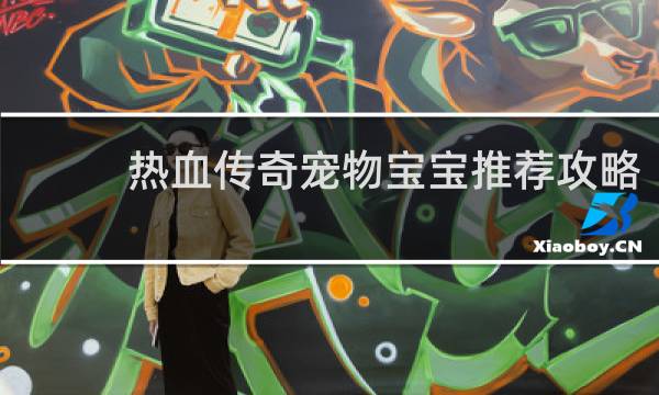 热血传奇宠物宝宝推荐攻略