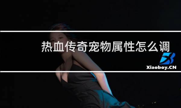 热血传奇宠物属性怎么调
