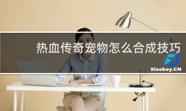 热血传奇宠物怎么合成技巧