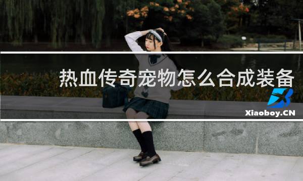 热血传奇宠物怎么合成装备