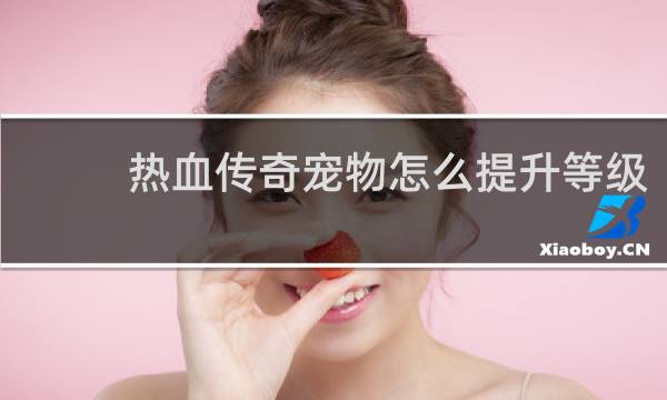 热血传奇宠物怎么提升等级