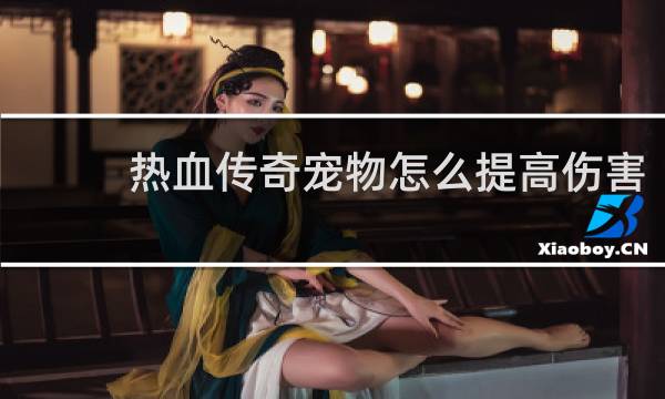 热血传奇宠物怎么提高伤害