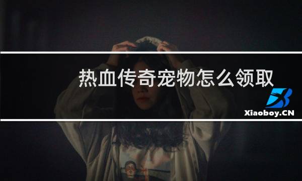 热血传奇宠物怎么领取