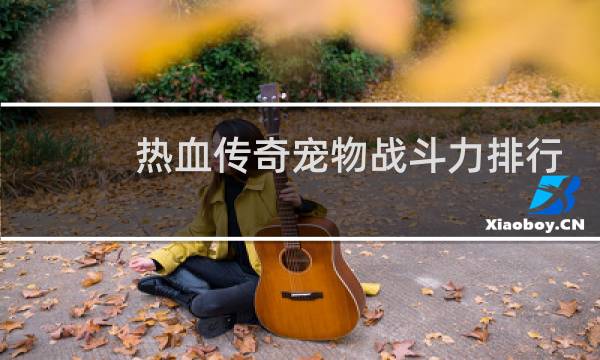 热血传奇宠物战斗力排行