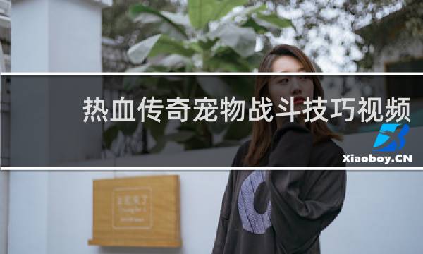 热血传奇宠物战斗技巧视频