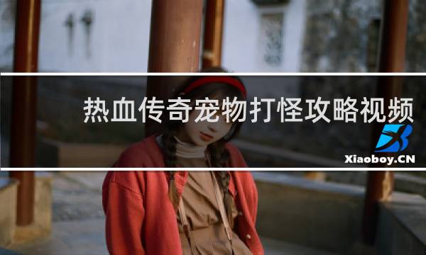热血传奇宠物打怪攻略视频