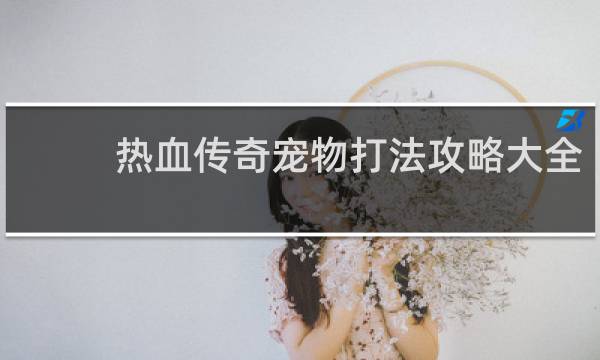 热血传奇宠物打法攻略大全