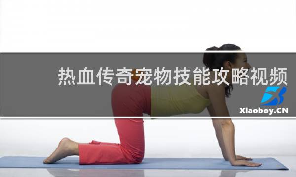 热血传奇宠物技能攻略视频