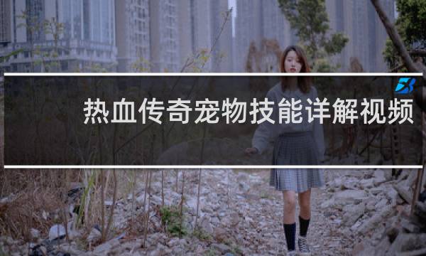热血传奇宠物技能详解视频