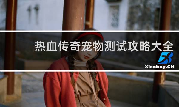 热血传奇宠物测试攻略大全